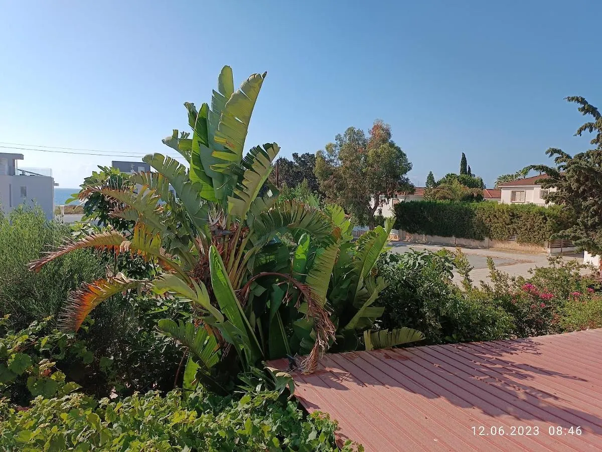 Holiday home Ferienhaus_Familykrausz Perivolia Cyprus